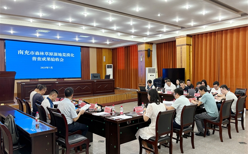 �ϳ���Ӫɽ��ɭ�ֲ�ԭʪ�ػ�ԭ���ղ�����˳��ͨ���м�����