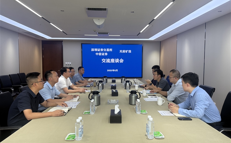 ���ծȯҵ�����������˸���˾��̸����