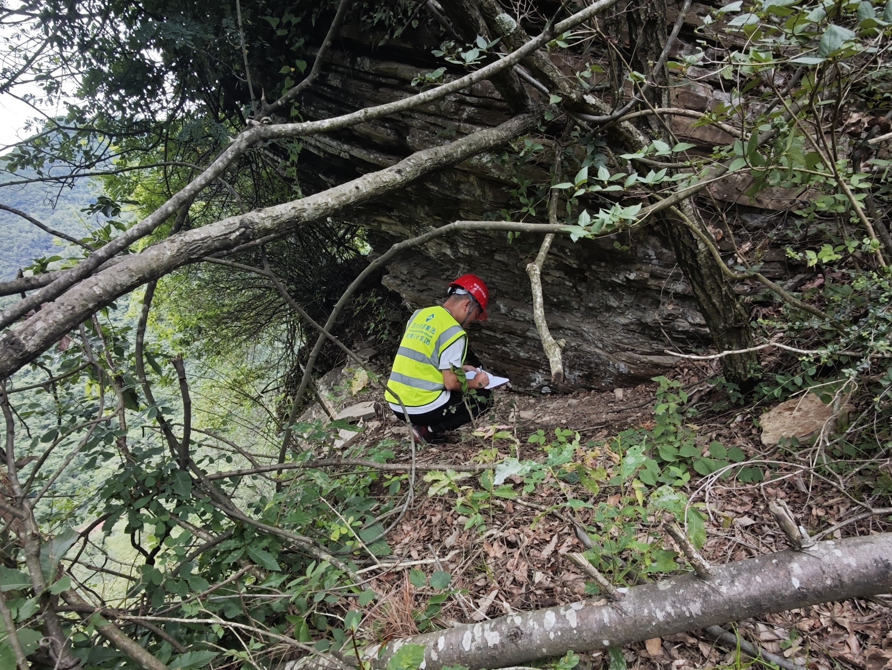 ΢ÐÅͼƬ_2025-08-12_160440_664 ΢ÐÅͼƬ_2025-08-12_160440_664