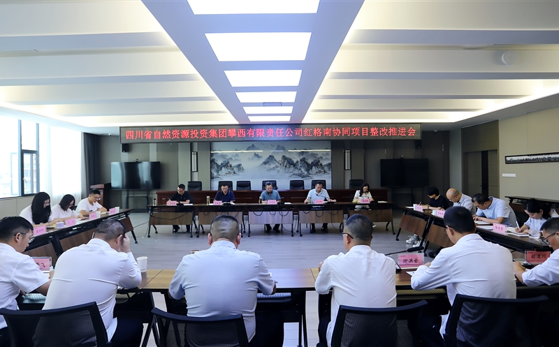 ������˾�ٿ������Эͬ��Ŀ�����ƽ���