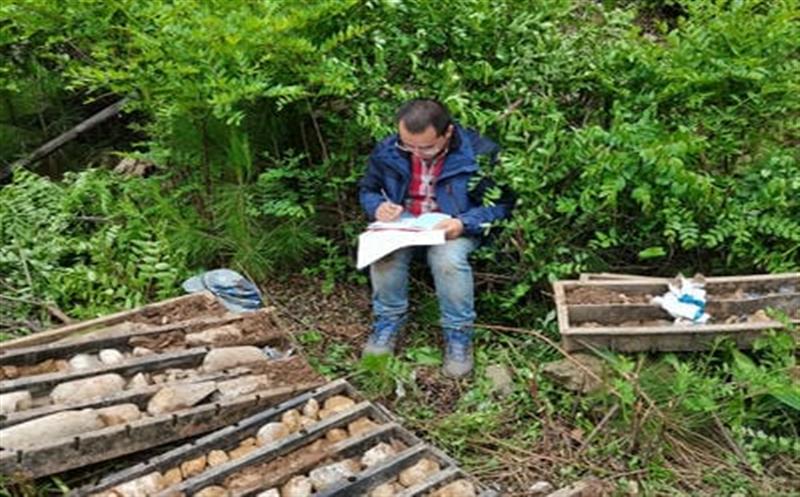 �Ƽ���������   �����ҿ�ͻ��