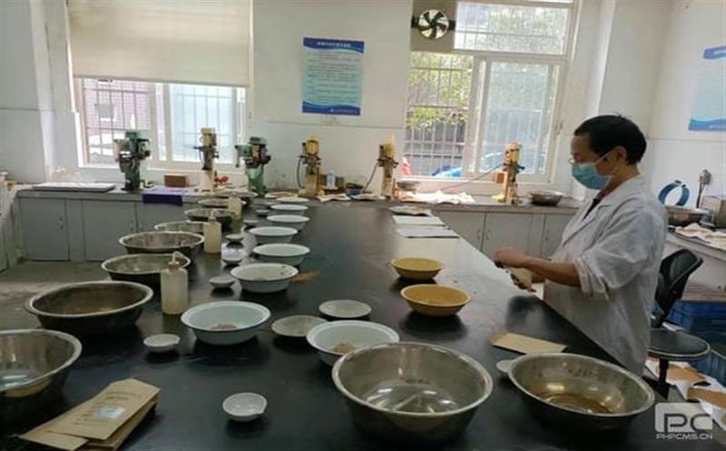 �Ĵ���ұ���Ƽ����޹�˾�ż�ƺ�ӽ�����������������չ