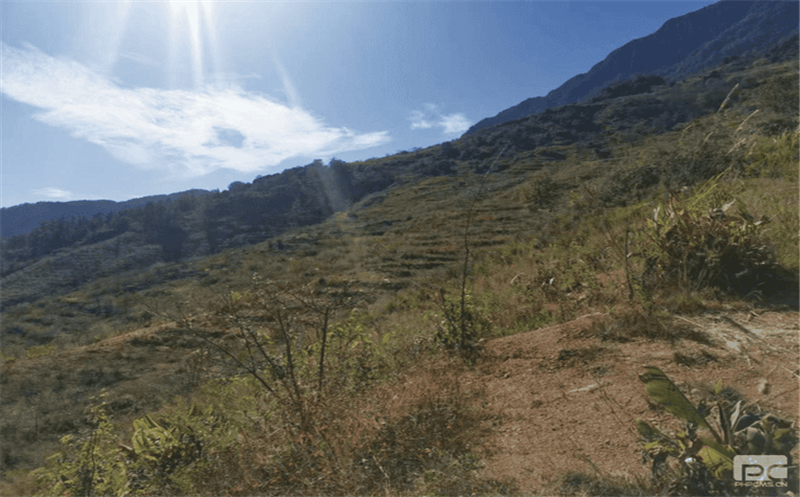 ������Ժ���������ص���Ŀ˳���ƽ�