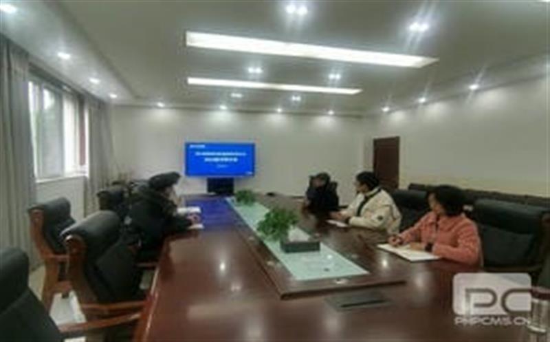 ���������ٿ�2024�꼼�����ֻ�