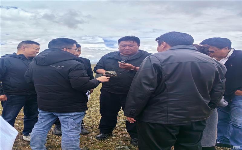 ��������Ȼ�۲��þ��쵼ݰ�ٰ����ش������������ʵ��Ŀ���