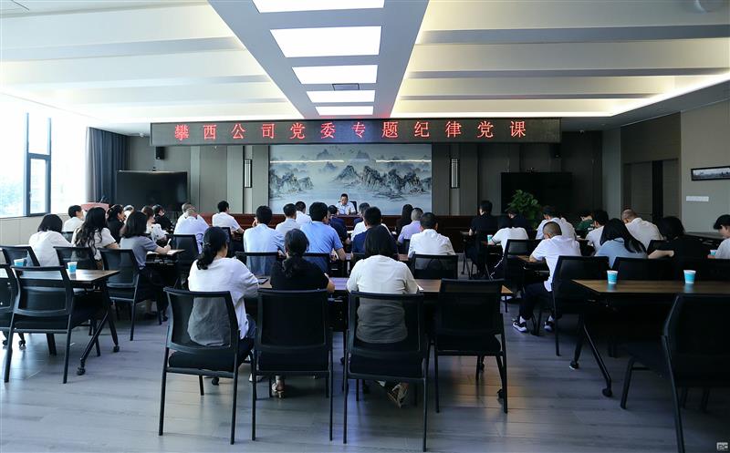 ������˾��ί��ǽ���ר�⣨���ɣ�����