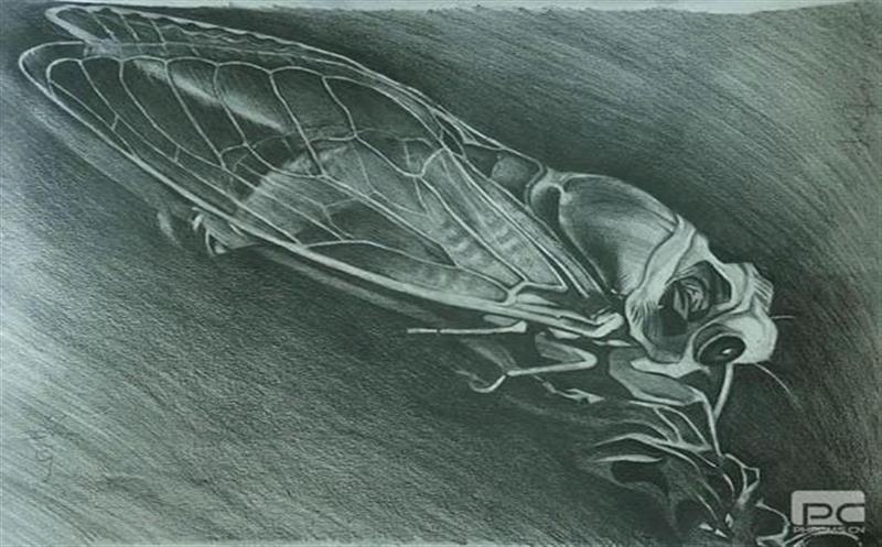 ϲѶ���������黭��Ʒ��ȫʡ��Ȼ�۲���ϵͳ�׽��Ļ��ڻ�