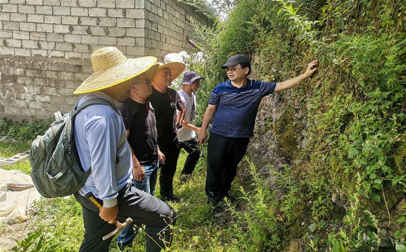 �����쵼��������˾�ᶫ�׿���Ŀ����ָ������