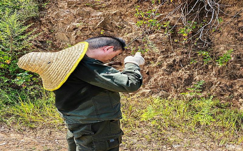 ֱ�桰���������Ȼ�۲�����