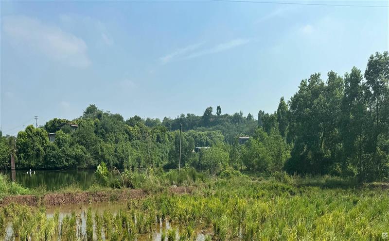 ��תЧ�͹�˾�ֳɴٳɶ��ǩ��ָ����תЭ��